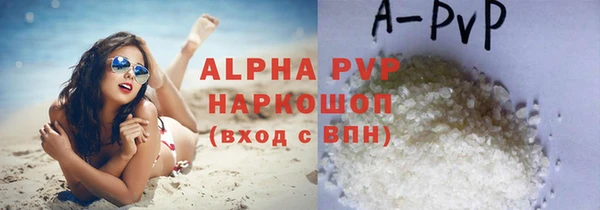стаф Краснослободск