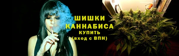 стаф Краснослободск