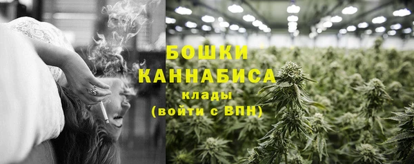 стаф Краснослободск