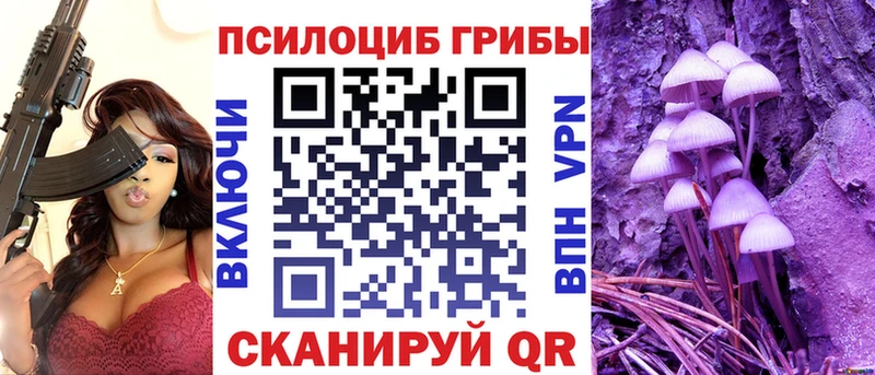 наркошоп  Кузнецк  Галлюциногенные грибы мицелий 