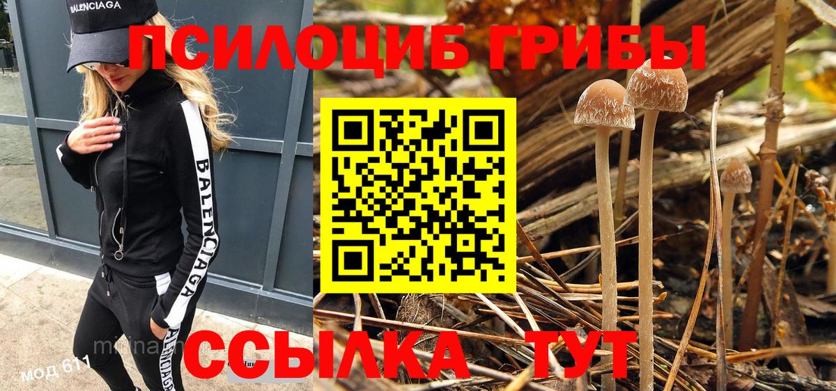 Псилоцибиновые грибы мухоморы  Вход с VPN  Кузнецк 